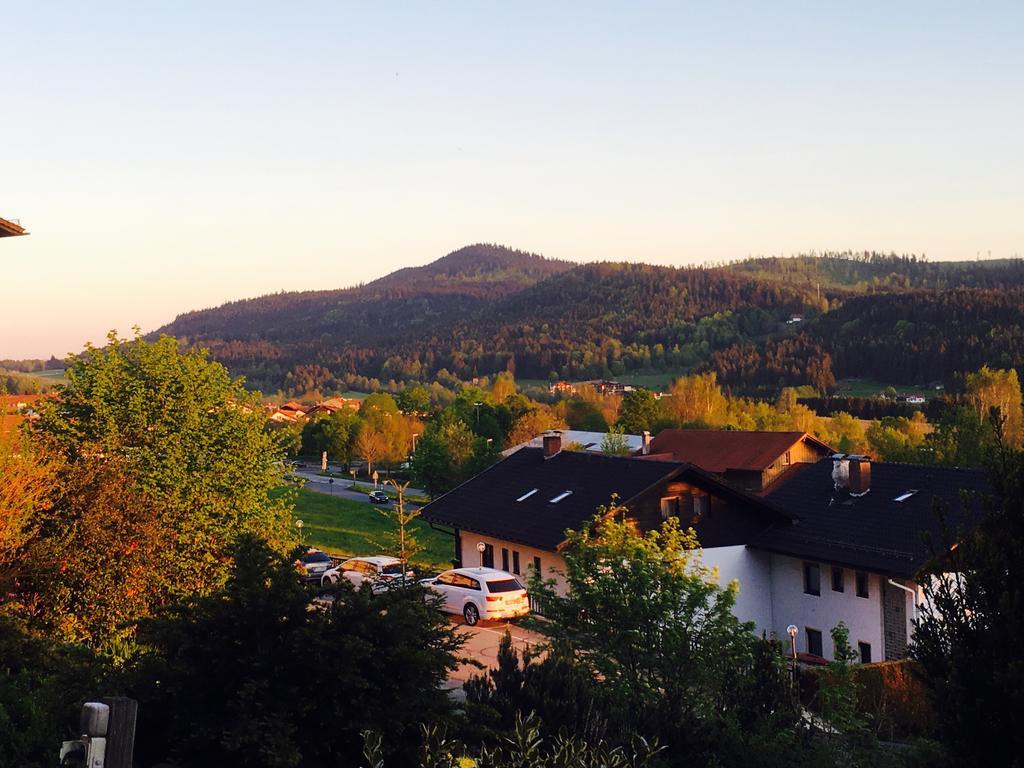 Pension Klein Und Ferienwohnungen (Adults Only) Bodenmais Esterno foto