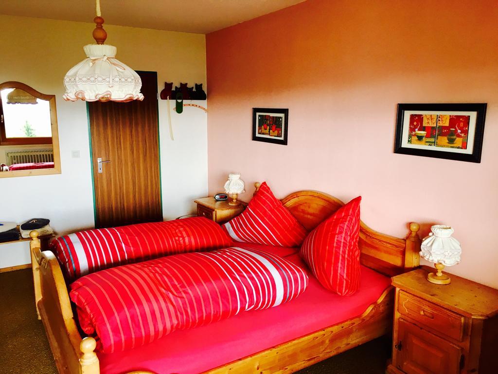 Pension Klein Und Ferienwohnungen (Adults Only) Bodenmais Esterno foto